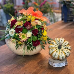 Autumn Pumpkin