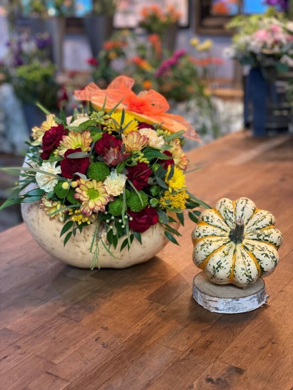 Autumn Pumpkin