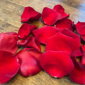 Fresh Rose Petals