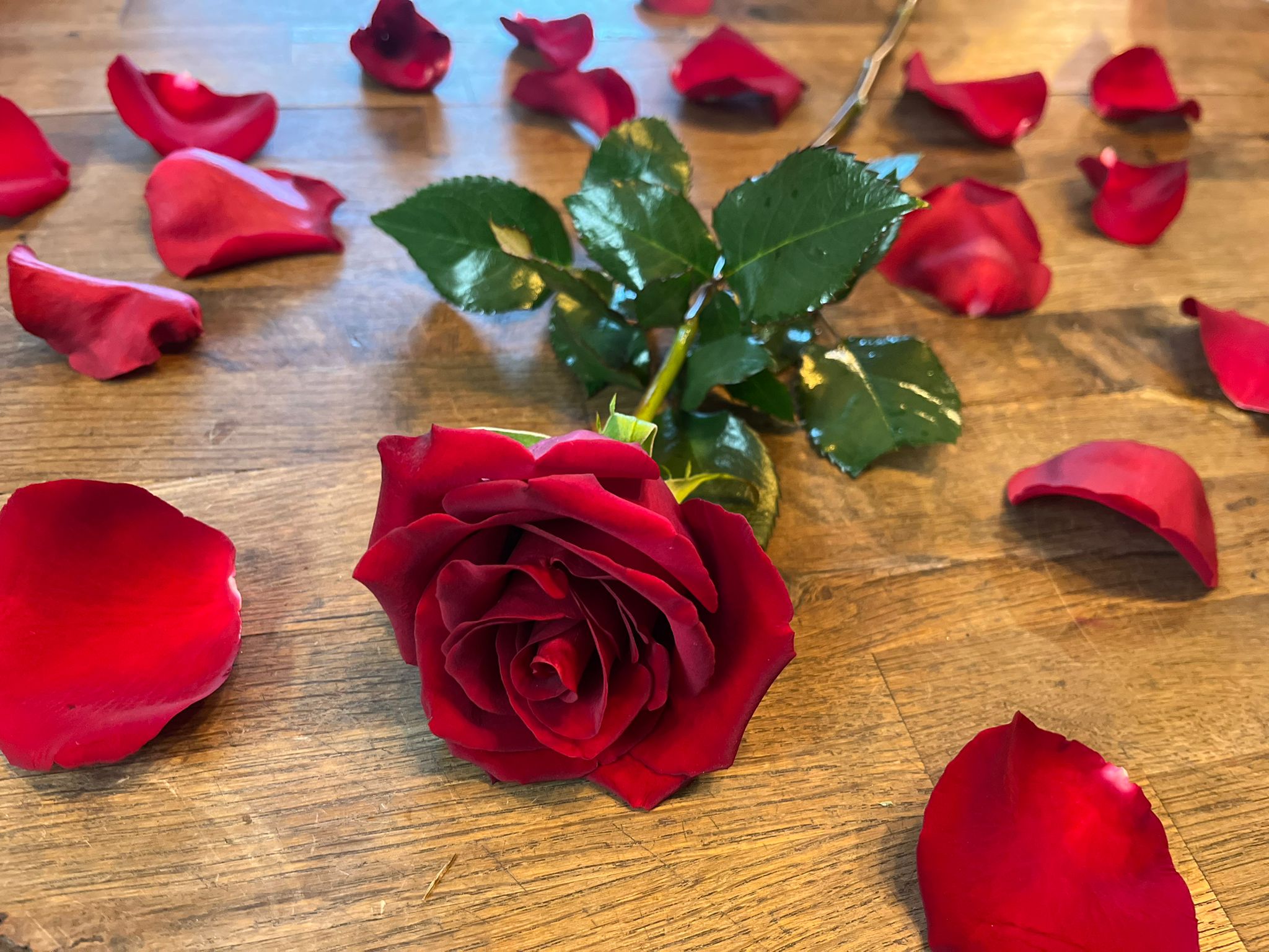 Red roses discount