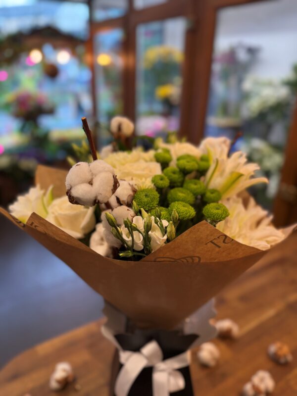 Cotton 2nd Anniversary - Image 2